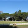 Cootamundra