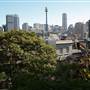 Darlinghurst - Forbes St, Thomson Lane, St Peters Lane