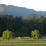 Kangaroo Valley