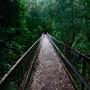 Kangaroo Valley River Suspension Bridge