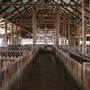 Deeargee Woolshed