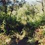 Deep Creek Reserve