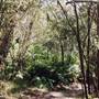 Deep Creek Reserve