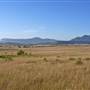Denman Area