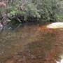 Deua River