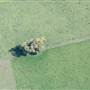 Dorrigo - Aerial Shots