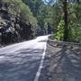 Dorrigo - General