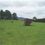 Dorrigo Steam Railway & Museum (Non-Profit Collection)