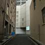 Douglass Street - Laneway & Stairs