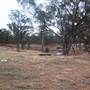 Morris Park Speedway Complex, Dubbo