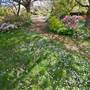 Lady Fairfax Gardens