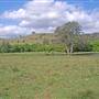 Dungog Area