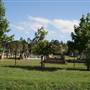 Dunmore & Albion Park