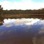 Dunns Swamp