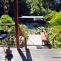 Durobby Retreat