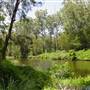 Lane Cove National Park