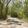 Lane Cove National Park