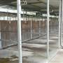Menangle Park Paceway