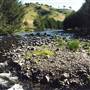 Barrington Tops National Park