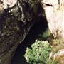 Barrington Tops National Park
