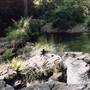 Barrington Tops National Park