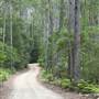 Barrington Tops National Park