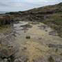 Bass Point Reserve to Maloneys Bay