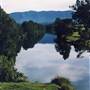 Bellinger River