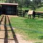 Belmont Park