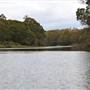 Berrima Reserve