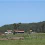 Berry Area Farms