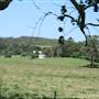 Berry Area Farms