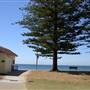 Bilgola Beach