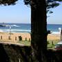 Bilgola Beach