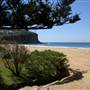 Bilgola Beach