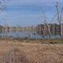 Gum Swamp & Bird Hide