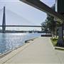 Blackwattle Bay Park