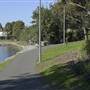 Blackwattle Bay Park