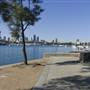 Blackwattle Bay Park