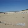 Boat Harbour 4WD Park