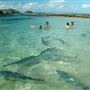 Lord Howe Island