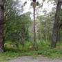 Bonnie Vale Campground - Royal National Park