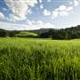 Jamberoo