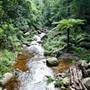 Jamberoo