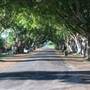 Briemba St, Grafton