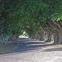 Briemba St, Grafton