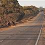 Broken Hill Area (Inc. Silverton)