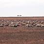 Broken Hill Area (Inc. Silverton)