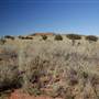 BROKEN HILL, OUTCROPS & SURROUNDS 2012