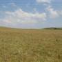 Brooks Point